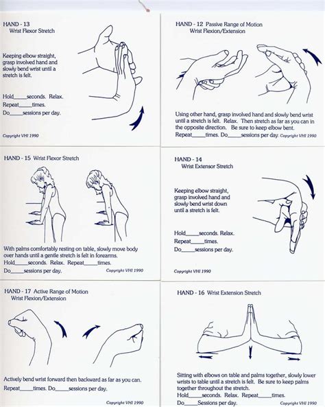 Physical therapy for tennis elbow. Pin by Anne Maka on love tennis | Tennis elbow stretches ...
