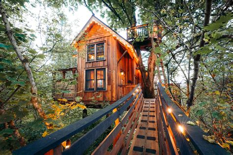 Best Treehouse In The World