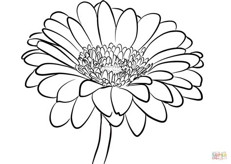 Daisies Coloring Pages Coloring Home