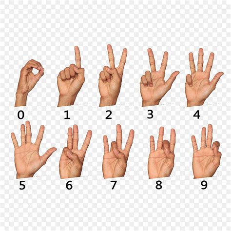 American Sign Language Numbers 1 20