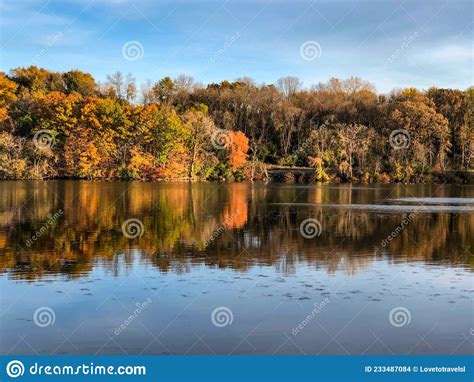 Colorful Trees By Water During Autumn In Wisconsin Stock Photo Image