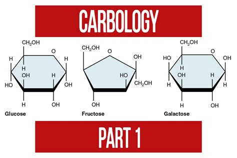Carbology Part 1 Introduction To Carbohydrates N1 Training
