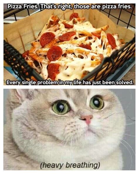 She rarely stopped at one. Pizza fries. Heavy breathing cat | Funny!!! | Pinterest ...