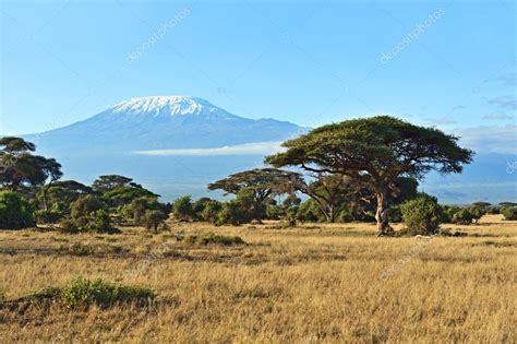 African Savanna In Kenya — Stock Photo © Kyslynskyy 121944728