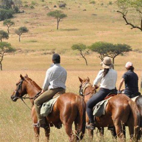 Kenya Horseback Safari Laikipia Africa Horse Tours