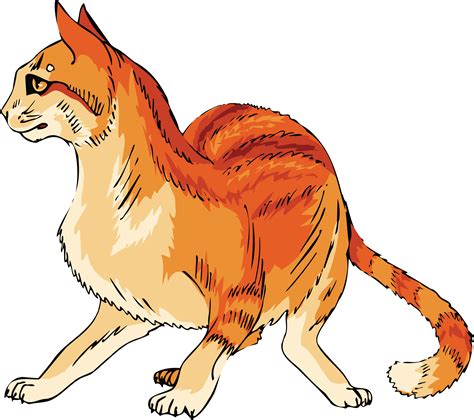 Free Clipart Of A Scared Orange Cat