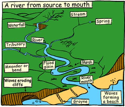 Parts Of A River Diagram