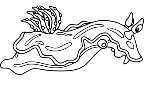 Sea Slug 1 Coloring Pages Coloring Cool