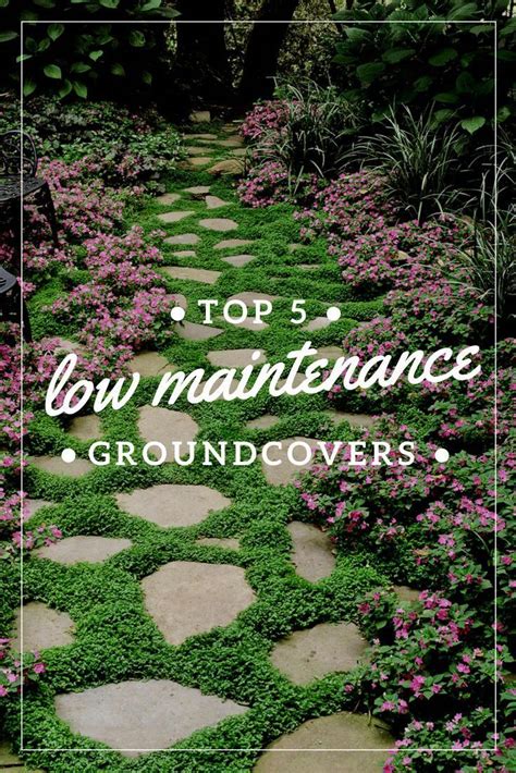 Low Maintenance Garden Idea Lowmaintenancegardenideas In
