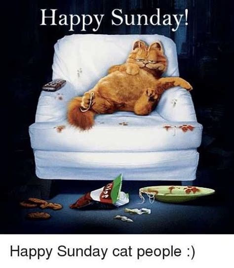 Happy Sunday Meme Discover More Interesting Garfield Good Morning