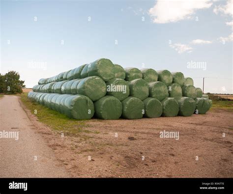 A Pile Of Industrial Green Plastic Bagged Bales Of Hay Wheat Stock