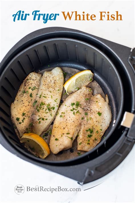 15 Easy Air Fryer Fish Recipes That You Need To Try