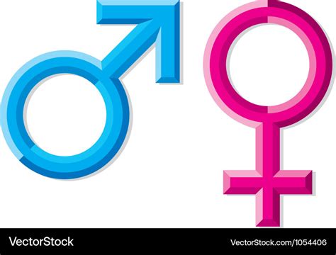 male and female gender symbols royalty free vector image