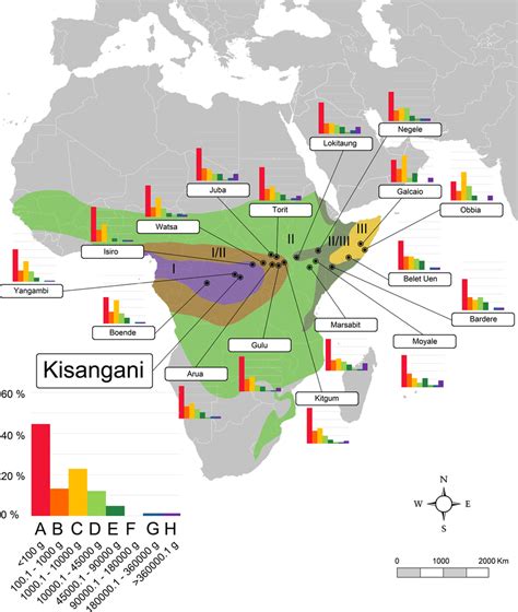 Africa map equator stock vectors & vector art. Jungle Maps: Map Of Africa Equator Line