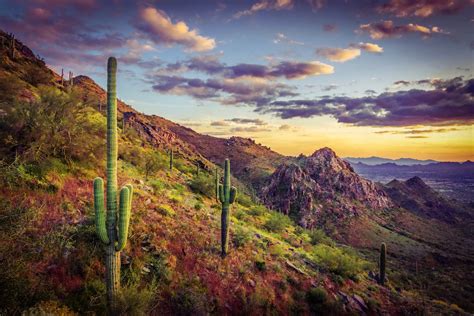 Camping Worlds Guide To Rving Saguaro National Park Swedbanknl