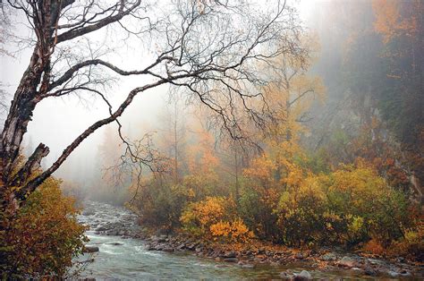 Foggy Autumn Photograph By Ron Day Fine Art America