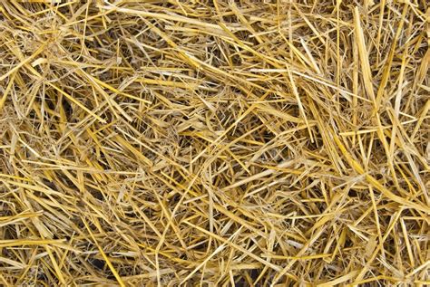 Hay And Straw Nutri Grass Haylage