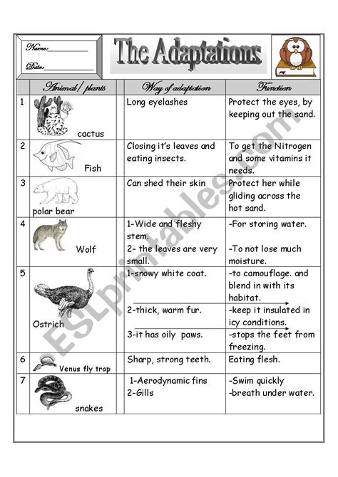 This Is A Science Test On The Ways Of Adaptations For Some Animals