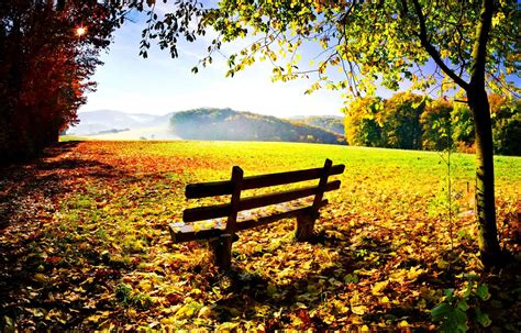 Autumn Rest Wallpaper Nature And Landscape Wallpaper Better