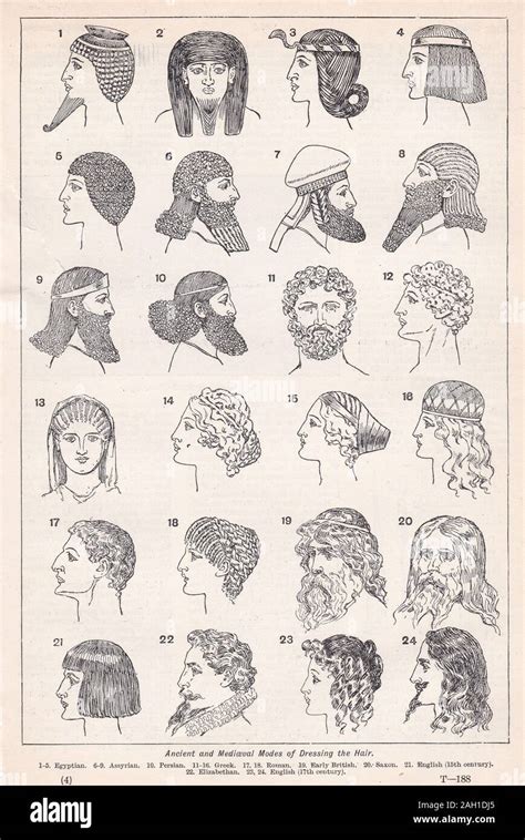 Ancient Persian Hair Style Your Hair Styles Ideas