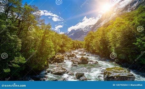 Rocky River Landscape In Rainforest New Zealand Stock Photo Image Of