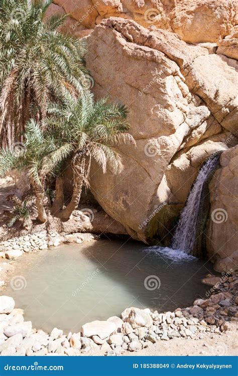 Waterfall In Oasis Of The Chebika A Mirage In The Sahara Desert Stock