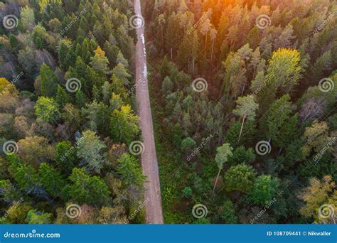 Aerial View Of Autumn Trees Colorful Trees From Above Stock Image