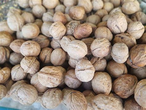 Walnut Type Of Edible Nut Tree Which Produces These Nuts Stock Image Image Of Produces Type
