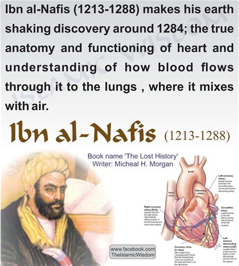 Ibn Al Nafis 1213 1288 Makes His علم سیاست و فلسفہ