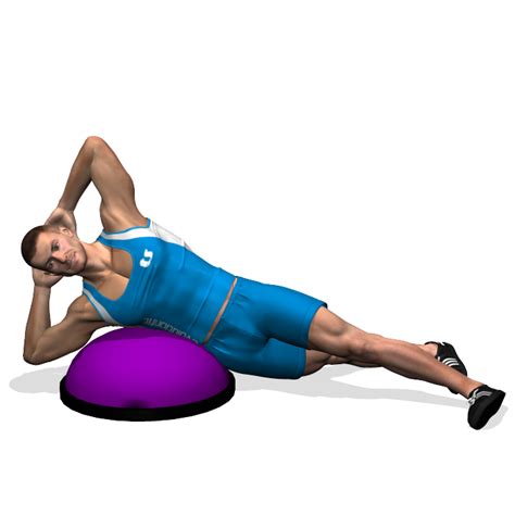 Oblique Crunches On Bosu Involved Muscles During The Training