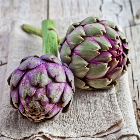 Pick Of The Week Fresh Artichokes Harris Farm Markets