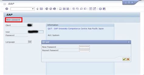 How To Enable The Password Parameter For Sap Gui Shortcut