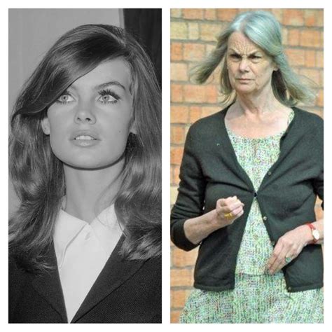Jean Shrimpton Then And Now