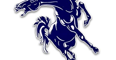 North Mesquite Stallions