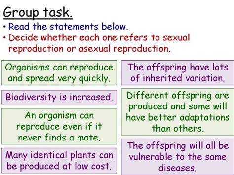 types of reproduction in plants year 8 lesson powerpoint ks3 8bb sexual asexual teaching