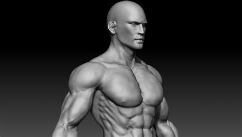 Realistic Muscular Man Zbrush Hd 3d Model In Man 3dexport