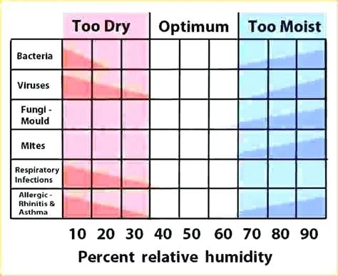 Achieving The Right Level Of Humidity In Winter What To Do