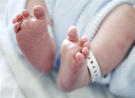 Newborn Babys Feet Stock Image M8150409 Science Photo Library