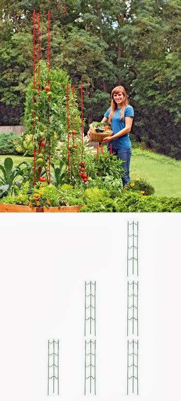 Stacking Tomato Ladders