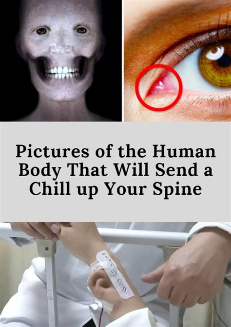 Pictures Of The Human Body That Will Send A Chill Up Your Spine Human