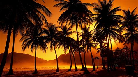Tropical Sunset Wallpaper Desktop Wallpapersafari