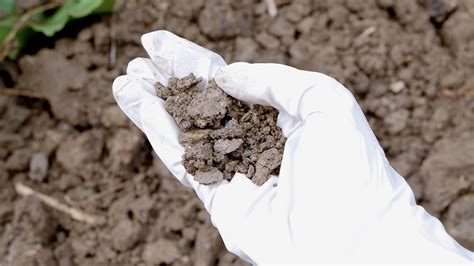 Contaminated Soil Treatment Methods | Enva