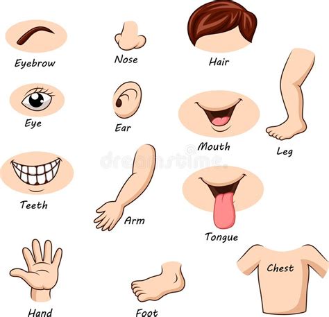 Nose Collection Character Of Face Parts Stock Vector