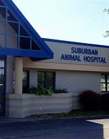 Animal Hospital Of Rochester Pictures