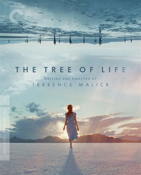 Tree Of Life Whats New In Terrence Malicks Expanded Criterion Edit