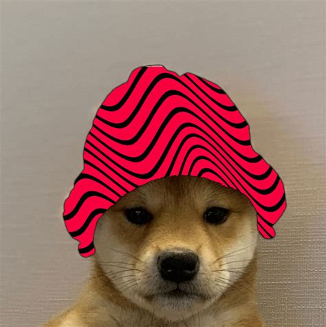 Pewds Join Dogwifhatgang Pewdiepiesubmissions