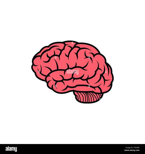 Abstract Human Brain Logo Design Template Stock Vector Image And Art Alamy