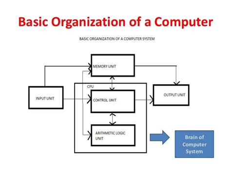 3 Basic Organization Of A Computer
