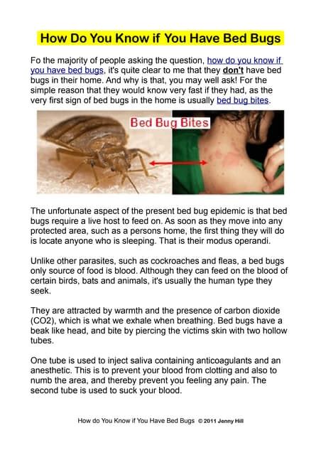 How To Check For Bed Bugs