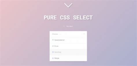 25 Amazing Css Select Boxes 2019 Templatefor